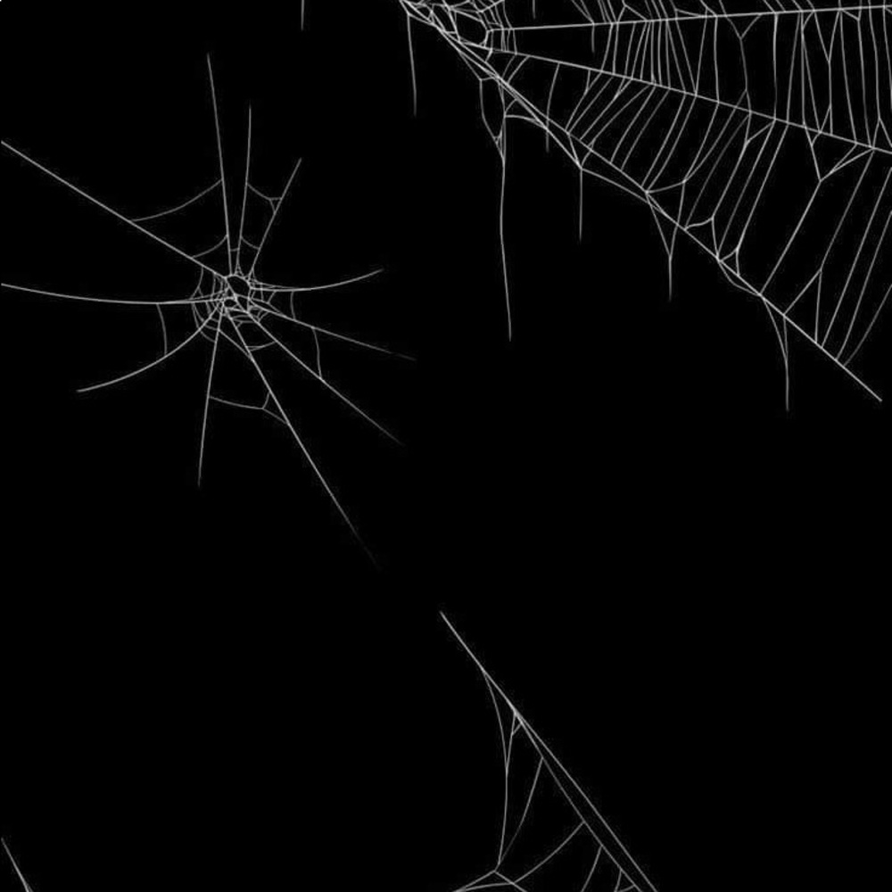 Meet your Posher, Marie